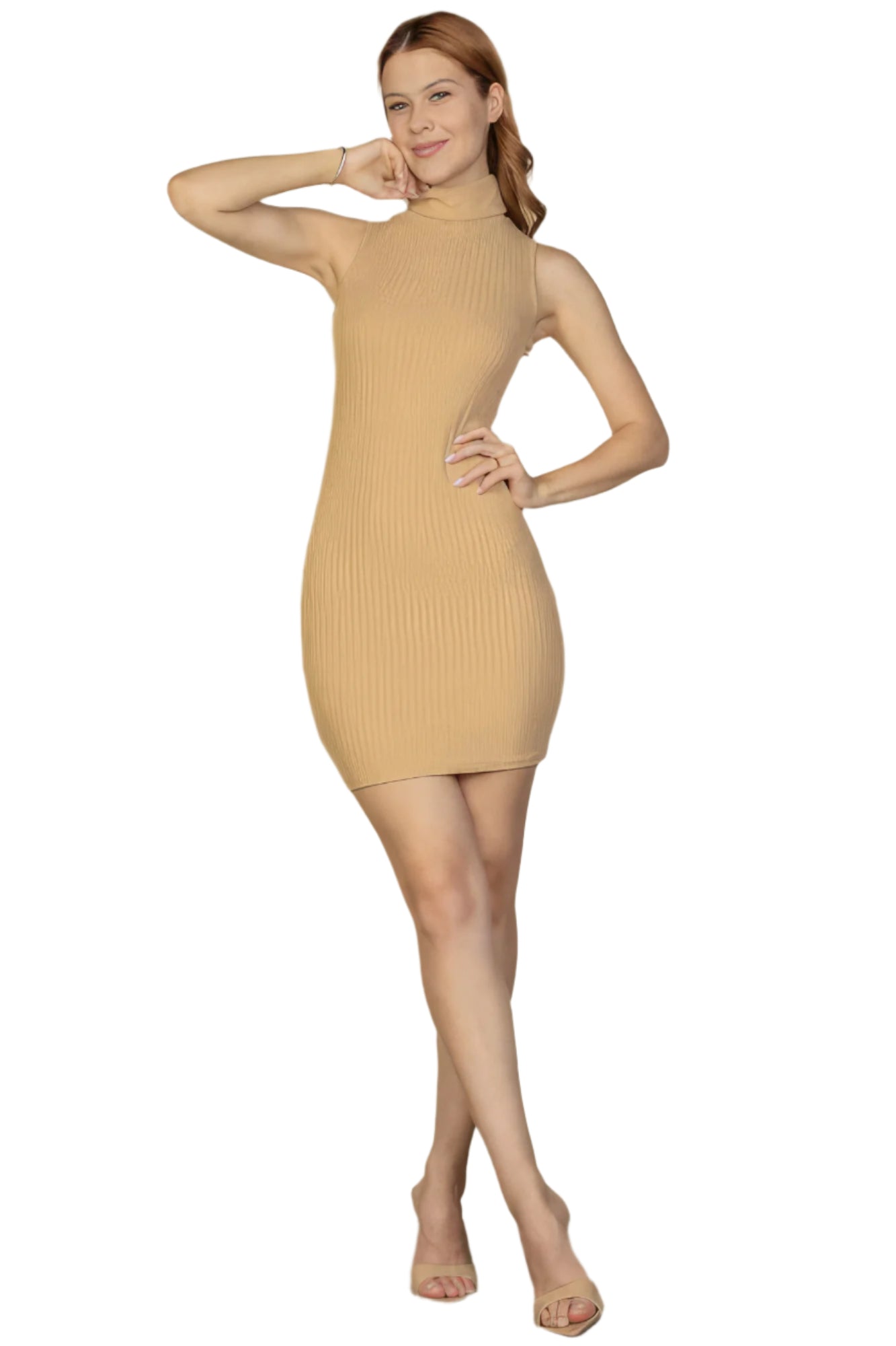 Ribbed Turtle Neck Sleeveless Bodycon Mini Dress